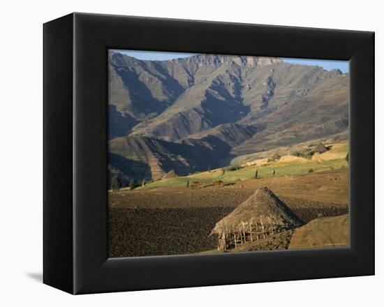 Debirichwa Village in Early Morning, Simien Mountains National Park, Ethiopia-David Poole-Framed Premier Image Canvas