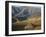 Debirichwa Village in Early Morning, Simien Mountains National Park, Ethiopia-David Poole-Framed Photographic Print