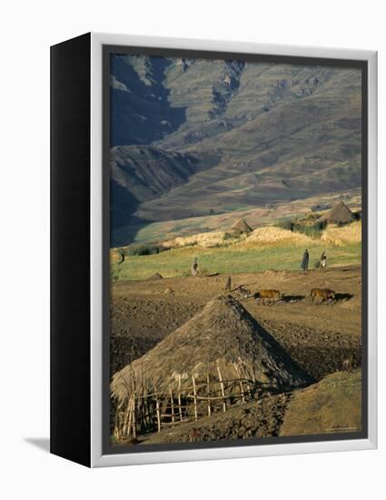 Debirichwa Village in Early Morning, Simien Mountains National Park, Ethiopia-David Poole-Framed Premier Image Canvas