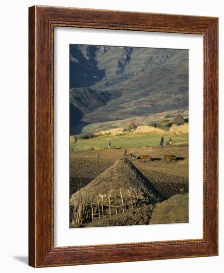 Debirichwa Village in Early Morning, Simien Mountains National Park, Ethiopia-David Poole-Framed Photographic Print