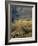 Debirichwa Village in Early Morning, Simien Mountains National Park, Ethiopia-David Poole-Framed Photographic Print