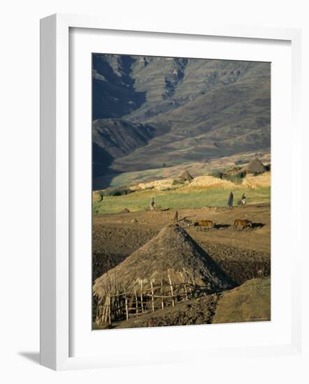 Debirichwa Village in Early Morning, Simien Mountains National Park, Ethiopia-David Poole-Framed Photographic Print