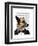 Debonair James Bond Dog-Fab Funky-Framed Art Print