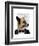 Debonair James Bond Dog-Fab Funky-Framed Art Print