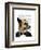 Debonair James Bond Dog-Fab Funky-Framed Art Print