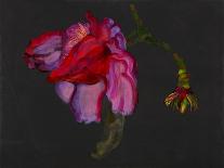 Paeonia 1-Deborah Barton-Framed Giclee Print