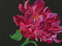 Paeonia 1-Deborah Barton-Giclee Print