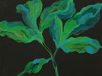 Frangipani Leaves, Bequia, 2008-Deborah Barton-Giclee Print