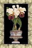 Orchid in Urn I-Deborah Bookman-Art Print
