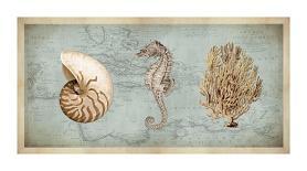 Sea Treasures I-Deborah Devellier-Framed Giclee Print