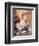 Deborah Kerr-null-Framed Photo