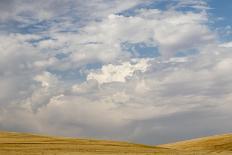 USA, Palouse, WA. Wheat field after harvest in the Palouse Region under cloudy-filled sky.-Deborah Winchester-Photographic Print