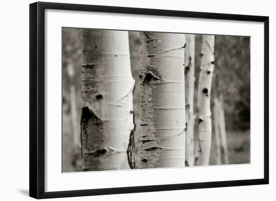 Photo, , large
