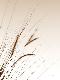 Premium Photographic Print