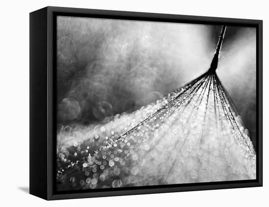 Debutante-Ursula Abresch-Framed Premier Image Canvas