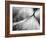 Debutante-Ursula Abresch-Framed Photographic Print