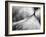 Debutante-Ursula Abresch-Framed Photographic Print