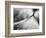 Debutante-Ursula Abresch-Framed Photographic Print