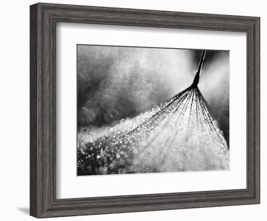 Debutante-Ursula Abresch-Framed Photographic Print