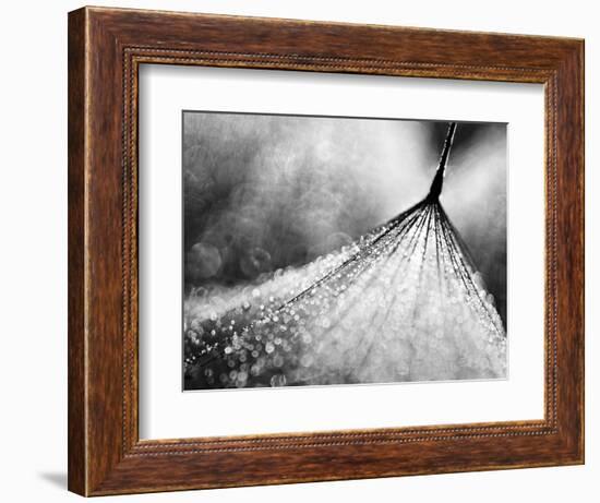 Debutante-Ursula Abresch-Framed Photographic Print