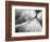 Debutante-Ursula Abresch-Framed Photographic Print