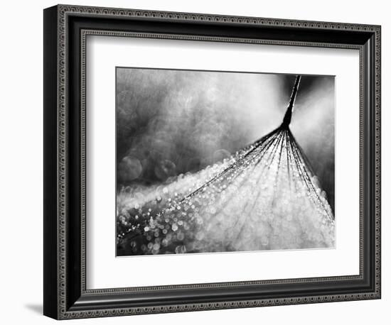 Debutante-Ursula Abresch-Framed Photographic Print