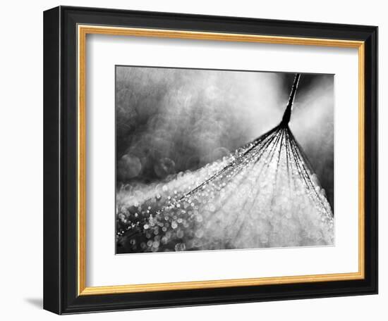 Debutante-Ursula Abresch-Framed Photographic Print