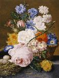 Roses, Morning Glory, Narcissi, Aster and Other Flowers in a Basket with Eggs in a Nest, 1744-Dec Van Huysum-Framed Premier Image Canvas