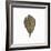 Decaying Leaf-Clive Nolan-Framed Photographic Print