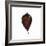 Decaying Leaf-Clive Nolan-Framed Photographic Print