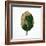 Decaying Leaf-Clive Nolan-Framed Photographic Print