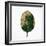 Decaying Leaf-Clive Nolan-Framed Photographic Print