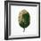 Decaying Leaf-Clive Nolan-Framed Photographic Print