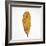 Decaying Leaf-Clive Nolan-Framed Photographic Print