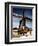 December 1946: a Herder with His Cattle Oxen in Front of an Old Windmill in Barbados-Eliot Elisofon-Framed Photographic Print