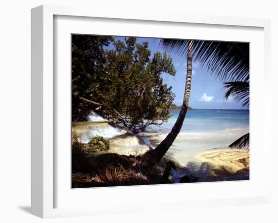 December 1946: Dunn's River Falls at Ocho Rios, Jamaica-Eliot Elisofon-Framed Photographic Print