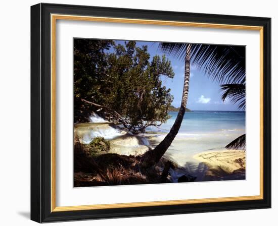 December 1946: Dunn's River Falls at Ocho Rios, Jamaica-Eliot Elisofon-Framed Photographic Print