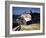 December 1946: El Morro Castle and Morro Lighthouse, Havana Harbor, Cuba-Eliot Elisofon-Framed Photographic Print