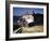 December 1946: El Morro Castle and Morro Lighthouse, Havana Harbor, Cuba-Eliot Elisofon-Framed Photographic Print