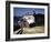 December 1946: El Morro Castle and Morro Lighthouse, Havana Harbor, Cuba-Eliot Elisofon-Framed Photographic Print