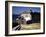 December 1946: El Morro Castle and Morro Lighthouse, Havana Harbor, Cuba-Eliot Elisofon-Framed Photographic Print