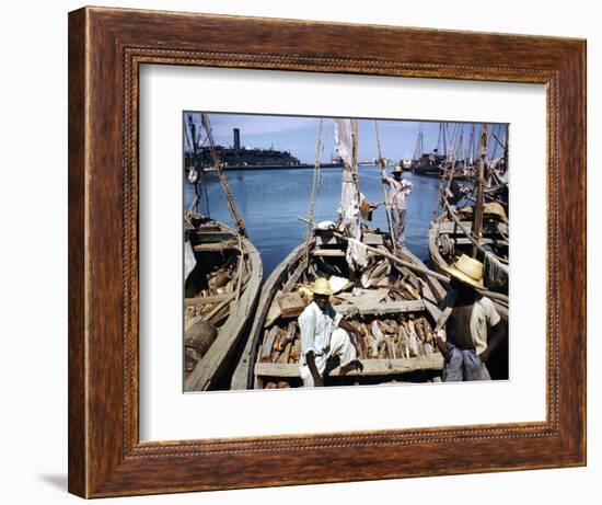 December 1946: Fishermen at in Port Au Prince Harbor in Haiti-Eliot Elisofon-Framed Photographic Print