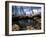 December 1946: Fishermen at in Port Au Prince Harbor in Haiti-Eliot Elisofon-Framed Photographic Print