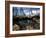 December 1946: Fishermen at in Port Au Prince Harbor in Haiti-Eliot Elisofon-Framed Photographic Print