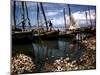 December 1946: Fishermen at in Port Au Prince Harbor in Haiti-Eliot Elisofon-Mounted Photographic Print