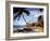 December 1946: Fishermen at Runaway Bay in Jamaica-Eliot Elisofon-Framed Photographic Print