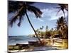 December 1946: Fishermen at Runaway Bay in Jamaica-Eliot Elisofon-Mounted Photographic Print