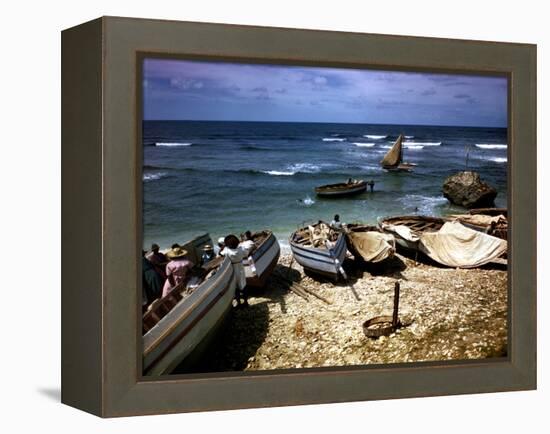 December 1946: Fishing Fleet at Bathsheba, Barbados-Eliot Elisofon-Framed Premier Image Canvas