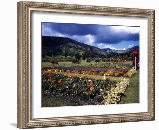 December 1946: the Royal Botanic Gardens, Usually Called Hope Gardens, in Kingston, Jamaica-Eliot Elisofon-Framed Photographic Print