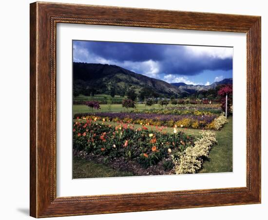 December 1946: the Royal Botanic Gardens, Usually Called Hope Gardens, in Kingston, Jamaica-Eliot Elisofon-Framed Photographic Print